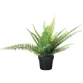 ИКЕА Папоротник искусственный ФЕЙКА 90433947, 9 см 1 34 см