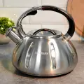 Чайник из нержавеющей стали 3,3л, свисток, индукция, матовая поверхность