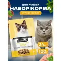 Корм для кошек влажный Ночной охотник полнорационный Курица в желе, 24 шт по 100 гр.