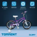 Детский велосипед TORRENT Glory (1 скорость, добавочные колеса, рама сталь, колеса 18)