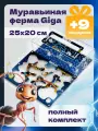 Большая Муравьиная ферма AntUniverse Giga, полный комплект, автоувлажнение, 245x195x65 мм