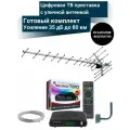 Цифровая ТВ приставка DVB-T2 с уличной активной антенной 35 дБ до 80 км (Кабельная сборка 10м)
