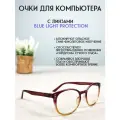 Очки для компьютера LECTIO RISUS LRC002-4 имиджевые защитные