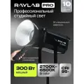 Осветитель светодиодный Raylab RL-300PRO 2700-6500K с пультом