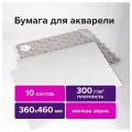 Бумага для акварели 300 г/м2 360x460 мм мелкое зерно, 10 листов, BRAUBERG ART PREMIERE, 113227