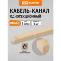 Кабель-канал 100х60 ,2 метра, упаковка 6 штук, ЭКО 3D (сосна) TDM Electric