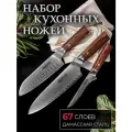 Набор кухонных ножей NIHONTO Bigaku, 67-слойная дамасская сталь, 3 шт