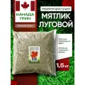Мятлик луговой семена 100% Canada Green, 1,5 кг