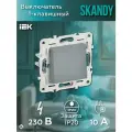 Выключатель одноклавишный 10А SK-V01Gr цвет Серый IEK SKANDY