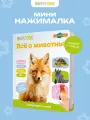 Интерактивная музыкальная игрушка-книжка мини Нажималка - Все о животных, BertToys. Для мальчиков, девочек