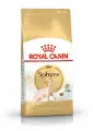 Royal Canin Sphynx сухой корм для взрослых кошек породы сфинкс - 400 г