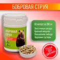 Комплекс бобровой струи для иммунитета, 60 капсул без примесей