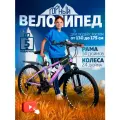 Горный велосипед SUN 21s, скоростной, для роста 130-175, 21 передача, до 150 кг