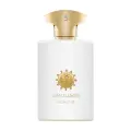 Парфюмерная вода Amouage Honour, объем 100 мл, аромат мужской, 2011 год