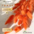 Сухоцвет Лагурус оранжевый для декора, букет Зайцехвост (35 штук)