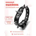 Кожаный ошейник с защитными шипами (обхват шеи 21-28 см.) для маленьких собак / Черный цвет