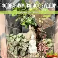 Флорариум с Фикусом Микрокарпа Пэлис с Буддой