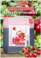 Сок Клюквенный концентрированный Happy Apple 5кг