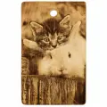 Разделочная доска Котенок и Белый Кролик, кедр, ручная, 28,5х18х2 см