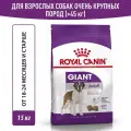 Сухой корм для собак Royal Canin Giant Adult для очень крупных пород, 15 кг