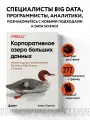 Корпоративное озеро больших данных. Новый подход к использованию Big Data и Data Science в бизнесе
