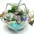 Флорариум с суккулентами Бархатная нежность с озером Икосаэдр 18см (Ø21см)