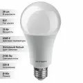 (20 шт.) Светодиодная лампочка онлайт A60 25В 230В 6500K E27