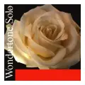 Струны для скрипки Pirastro 410021 Wondertone Solo