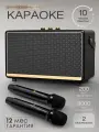 Караоке система портативная для дома Singer 200D black