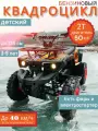 Детский бензиновый квадроцикл АТV Grizlik 50 (с электростартером)
