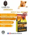 AMBROSIA Adult All Breeds (Курица, лосось), 2 кг