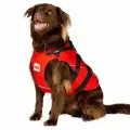 Жилет спасательный для собак RED ORIGINAL Dog PFD red, размер XS / Жилет для животных, для водных видов спорта