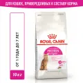 Корм для кошек Royal Canin Protein Exigent (Протеин Экзиджент) Корм сухой сбалансированный для привередливых взрослых кошек, 10 кг