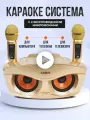 Домашняя караоке-система с беспроводным микрофоном SD-306 gold