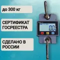 Весы крановые Мир Весов МВК-Л-300 до 300 кг, от батареек, пылевлагозащита IP54