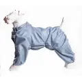 Комбинезон-дождевик для цвергшнауцера суки, повышенной прочности, цвет серо-голубой
