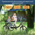 Двухместный трехколесный велосипед для взрослых РВЗ Спутник 20, черный