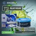 EIKOSHA Набор ароматизаторов для машины и дома - BLUE MUSK / ледяной шторм, автомобильный парфюм, арт. A-85 (10 шт.)