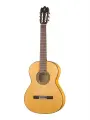 Alhambra 8.206 Flamenco Student 3F Классическая гитара, защитная накладка