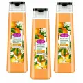 Гель для душа Camay Botanicals Цитрусовый микс с маслом жожоба, 400 мл, 3 шт.