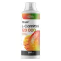 FitRule L-Carnitine 120000 Concentrate (1000 мл) (манго)
