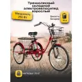 Электровелосипед трехколесный для взрослых РВЗ Чемпион (складной), красный 250,10