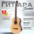 Классическая гитара Fabio FC06 N