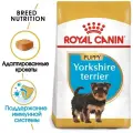 Royal Canin RC Для щенков Йоркширского терьера: до 10мес. (Yorkshire Puppy 29) 39720150R3 | Yorkshire Terrier Puppy 1,5 кг 11755 (2 шт)