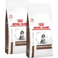 ROYAL CANIN GASTROINTESTINAL PUPPY для щенков при заболеваниях желудочно-кишечного тракта 10 + 10 кг