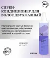 360 Hair Professional Спрей-кондиционер для волос двухфазный антижелтый Be Silver Conditioner 250мл