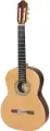 N1014 SM20 Regun Классическая гитара Hora