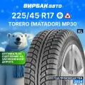 Зимние шины TORERO MP30 225/45R17 94T XL