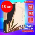 Комплект 18 шт, Тетрадь на кольцах 120л. А5 (175х215мм), обложка твердый картон, клетка, BRAUBERG, 1, 404075