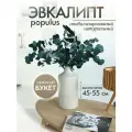 Эвкалипт стабилизированный популус Trava Decor сухоцвет для декора, для вазы